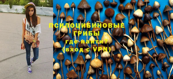 mix Абаза