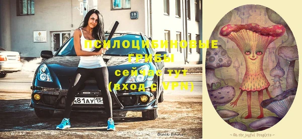 стафф Семикаракорск