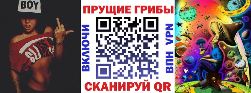 Галлюциногенные грибы Psilocybe  цены   Зубцов 